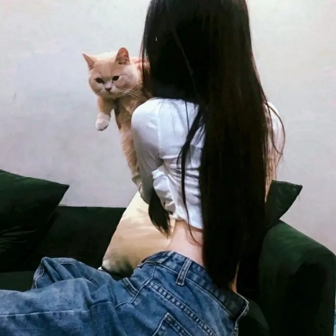 澳门营业中